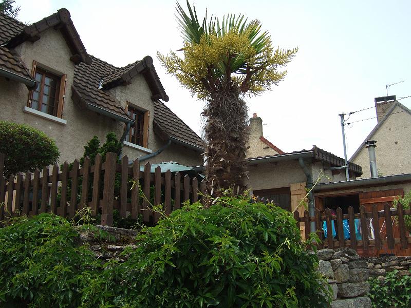 2010-05- (111).JPG